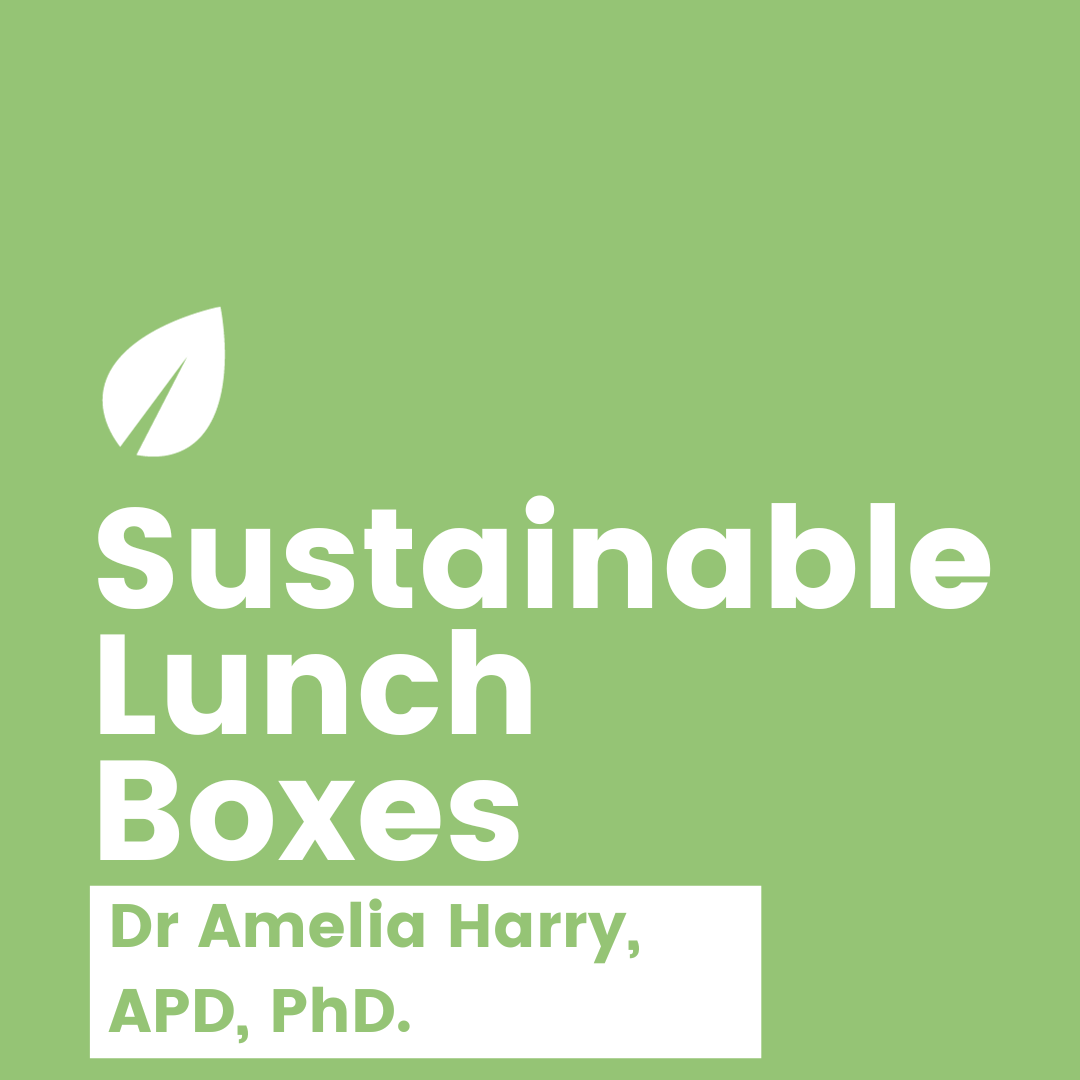 eco-friendly-lunch-boxes-benefits-beyond-the-food